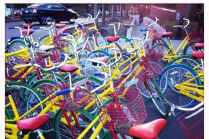 Lees meer over het artikel Vehicula ultrices neque eget tempus